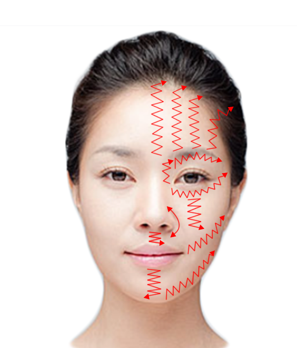 Bojin Facial Guideline - Face (Front)